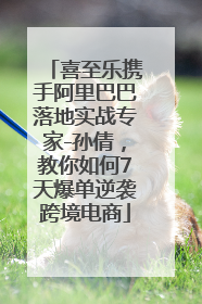 喜至乐携手阿里巴巴落地实战专家-孙倩，教你如何7天爆单逆袭跨境电商
