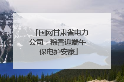 国网甘肃省电力公司：粽香迎端午 保电护安康