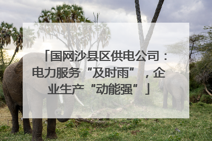 国网沙县区供电公司：电力服务“及时雨”，企业生产“动能强”