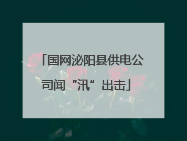 国网泌阳县供电公司闻“汛”出击