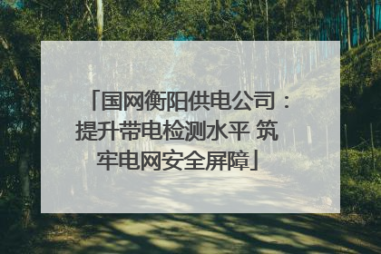 国网衡阳供电公司：提升带电检测水平 筑牢电网安全屏障