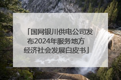 国网银川供电公司发布2024年服务地方经济社会发展白皮书