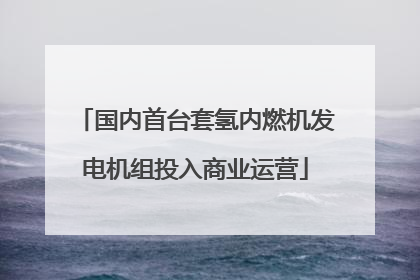 国内首台套氢内燃机发电机组投入商业运营