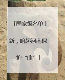 国家级名单上新，响起河南保护“曲”