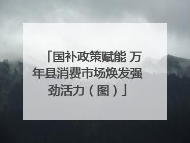 国补政策赋能 万年县消费市场焕发强劲活力（图）