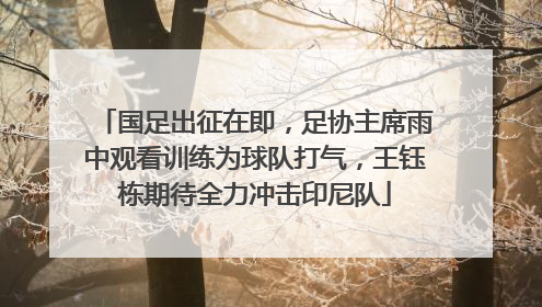 国足出征在即，足协主席雨中观看训练为球队打气，王钰栋期待全力冲击印尼队