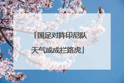 国足对阵印尼队 天气或成拦路虎
