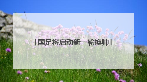 国足将启动新一轮换帅