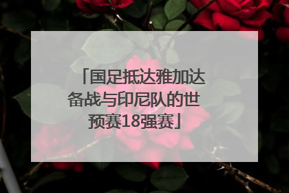 国足抵达雅加达备战与印尼队的世预赛18强赛