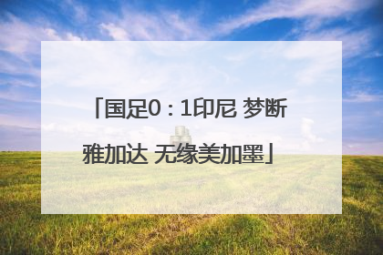 国足0∶1印尼 梦断雅加达 无缘美加墨