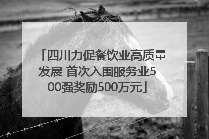 四川力促餐饮业高质量发展 首次入围服务业500强奖励500万元