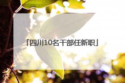 四川10名干部任新职