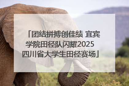 团结拼搏创佳绩 宜宾学院田径队闪耀2025四川省大学生田径赛场