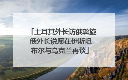 土耳其外长访俄斡旋 俄外长说愿在伊斯坦布尔与乌克兰再谈