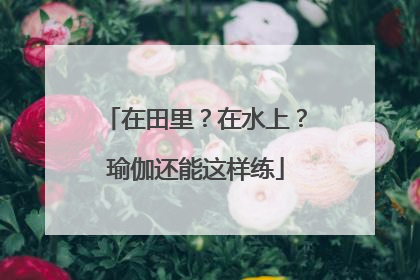 在田里？在水上？瑜伽还能这样练