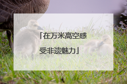 在万米高空感受非遗魅力