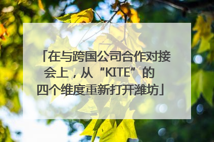 在与跨国公司合作对接会上，从“KITE”的四个维度重新打开潍坊