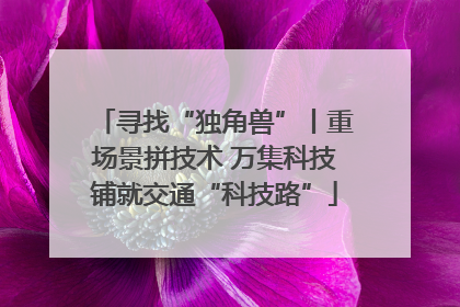寻找“独角兽”丨重场景拼技术 万集科技铺就交通“科技路”