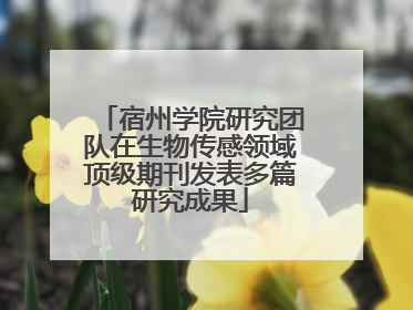 宿州学院研究团队在生物传感领域顶级期刊发表多篇研究成果