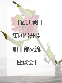 宿迁港口集团召开挂职干部交流座谈会