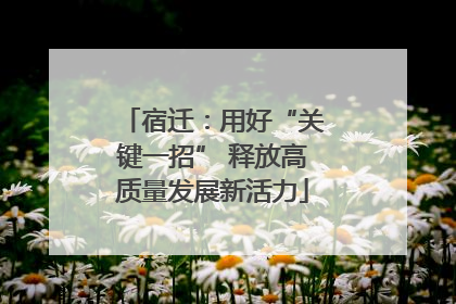 宿迁：用好“关键一招” 释放高质量发展新活力