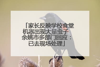 家长反映学校食堂机器出现大量虫子 余姚市多部门回应：已去现场处理