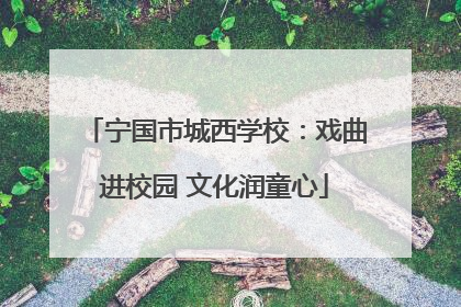 宁国市城西学校：戏曲进校园 文化润童心