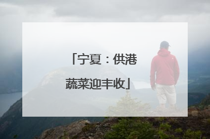宁夏：供港蔬菜迎丰收