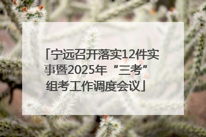 宁远召开落实12件实事暨2025年“三考”组考工作调度会议