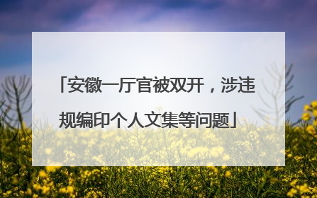 安徽一厅官被双开，涉违规编印个人文集等问题