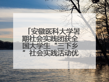 安徽医科大学暑期社会实践团获全国大学生“三下乡”社会实践活动优秀团队