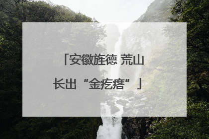 安徽旌德 荒山长出“金疙瘩”