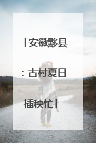安徽黟县：古村夏日插秧忙