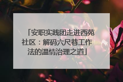 安职实践团走进西苑社区：解码六尺巷工作法的温情治理之道