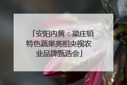 安阳内黄：梁庄镇特色蔬果亮相央视农业品牌甄选会