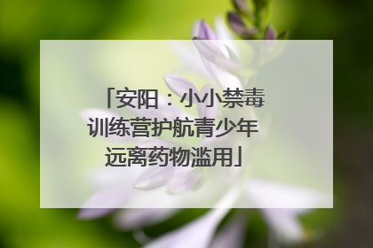 安阳：小小禁毒训练营护航青少年远离药物滥用