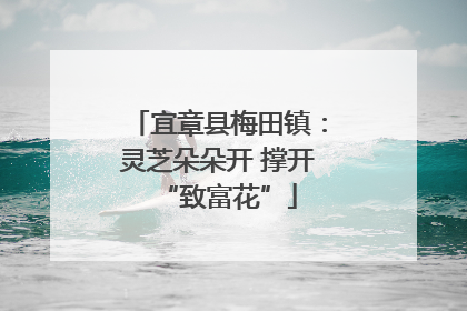 宜章县梅田镇：灵芝朵朵开 撑开“致富花”
