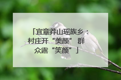 宜章莽山瑶族乡：村庄开“美颜” 群众露“笑颜”