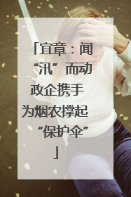 宜章：闻“汛”而动 政企携手为烟农撑起“保护伞”