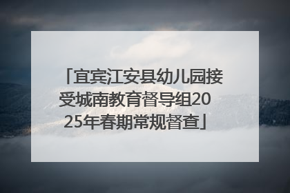 宜宾江安县幼儿园接受城南教育督导组2025年春期常规督查