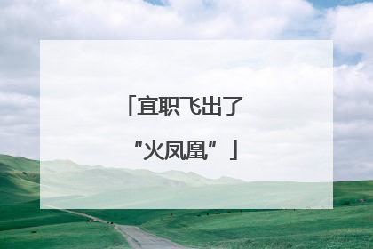 宜职飞出了“火凤凰”