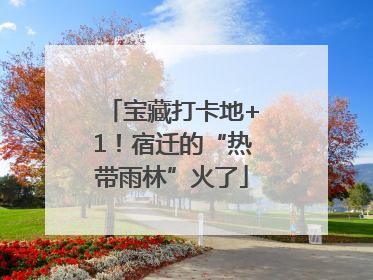 宝藏打卡地+1！宿迁的“热带雨林”火了