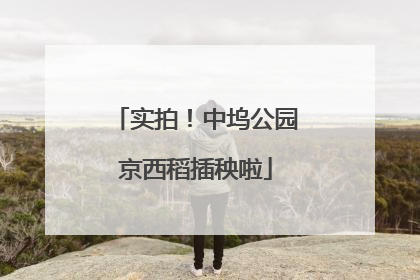 实拍！中坞公园京西稻插秧啦