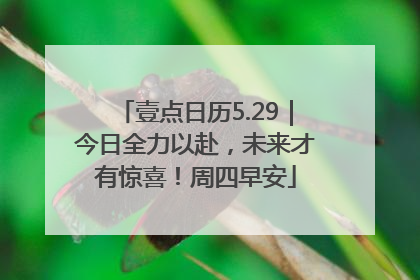 壹点日历5.29｜今日全力以赴，未来才有惊喜！周四早安