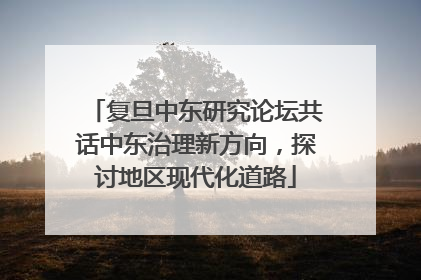 复旦中东研究论坛共话中东治理新方向，探讨地区现代化道路