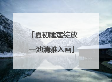 夏初睡莲绽放 一池清雅入画