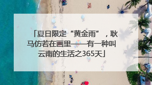 夏日限定“黄金雨”，耿马仿若在画里——有一种叫云南的生活之365天