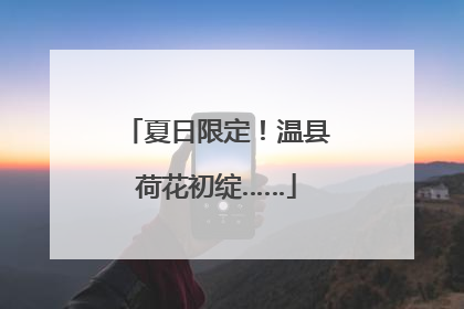 夏日限定！温县荷花初绽……