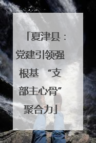 夏津县：党建引领强根基 “支部主心骨”聚合力