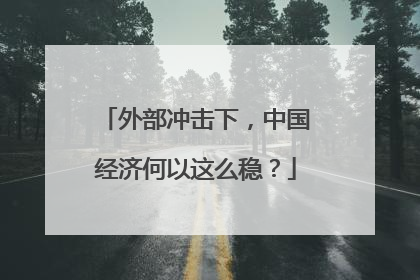 外部冲击下，中国经济何以这么稳？